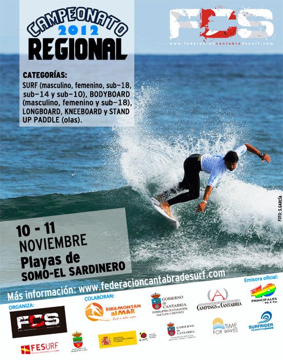 regional_poster2012_somosardi.jpg